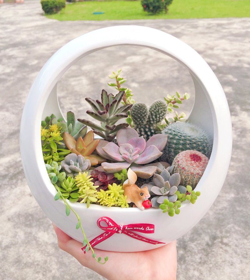 Japanese hand basket potted plants/opening potted plants, promoted potted plants, new home completion, Christmas gifts - ตกแต่งต้นไม้ - เครื่องลายคราม ขาว