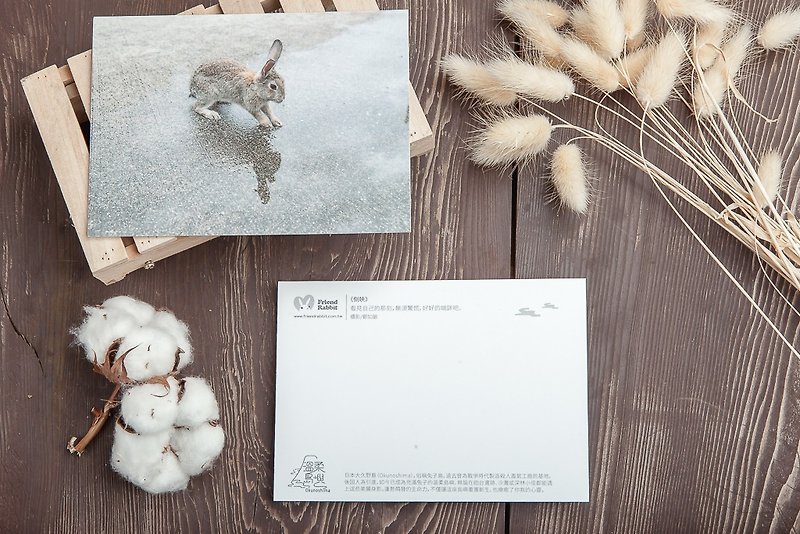 Rabbit Photography Postcard-Reflection - การ์ด/โปสการ์ด - กระดาษ สีเทา