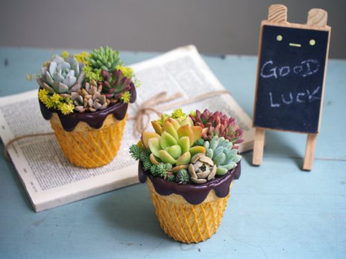 ☆多肉植物 寄せ植え〜手作り 木製手押しカート アイスクリーム屋さん