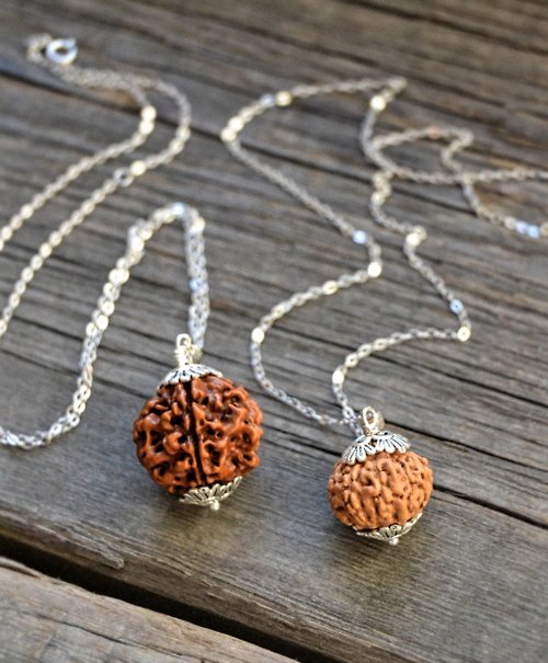 Lotus Sutra Shop Rare Rudraksha 5-face & 10- face Pendant from India & Napal with Silver Fittings