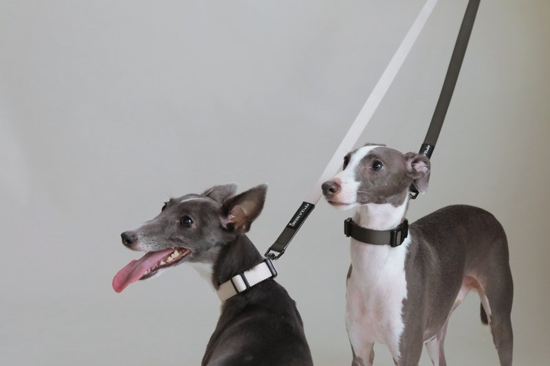 ULA HOUND解放雙手狗狗多功能牽引繩半P防爆衝項圈組 - 項圈/牽繩 - 尼龍 