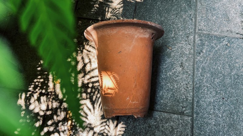 磚胎素燒國蘭盆 - 花瓶/花器 - 陶 