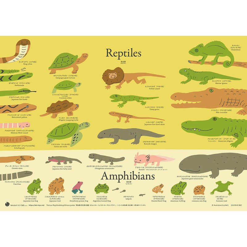 Poster/Reptiles&Amphibians - โปสเตอร์ - กระดาษ สีเหลือง