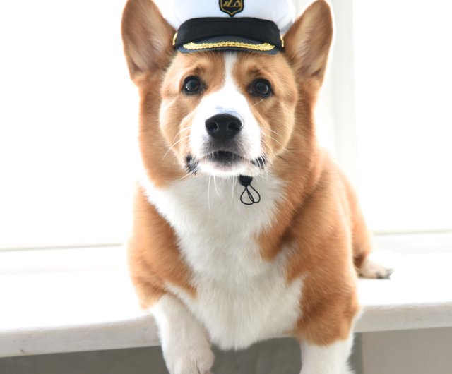 購入プロモーション Corgi-Corgi 軍帽 - 帽子