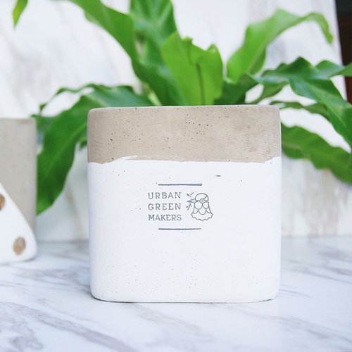 URBAN GREEN MAKERS (Taiwan) UGM方型清水模盆器 / 簡約白 (L)