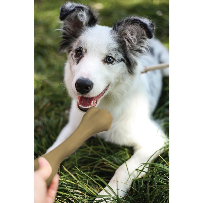 【MPETS】一起舒緩壓力吧! 犬用咬骨玩具 - 貓/狗玩具 - 其他材質 