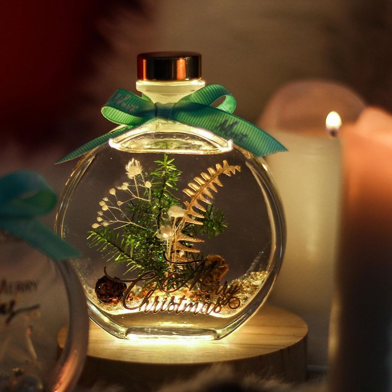 雪花款浮游花瓶 聖誕交換禮物 - 乾燥花/永生花 - 植物．花 多色