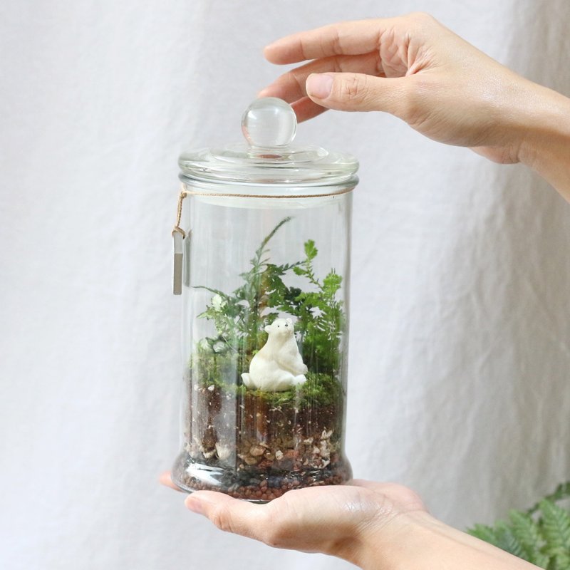 新竹 【永續植物生態瓶】水循環奧秘+生態瓶製 - 植栽/花藝 - 其他材質 