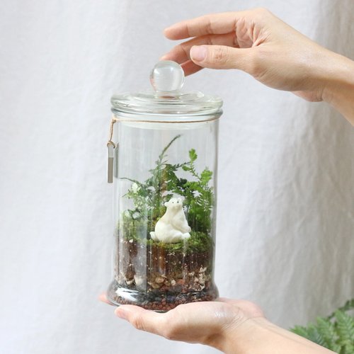 原生態 NatureWorld 新竹 【永續植物生態瓶】水循環奧秘+生態瓶製