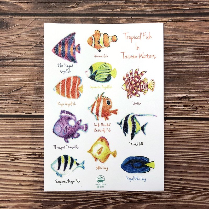 Tropical fish essay postcard - การ์ด/โปสการ์ด - กระดาษ 
