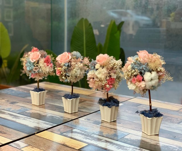 ワークショップ 台中真夏の枯れた花球の木永遠の花ドライフラワー卒業ギフト ショップ Miniforest Florist フラワー ガーデン Pinkoi