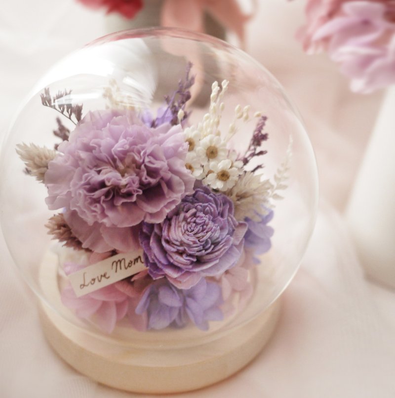 溫柔紫色母親節康乃馨不凋花玻璃盅 - 乾花/永生花 - 植物．花 紫色