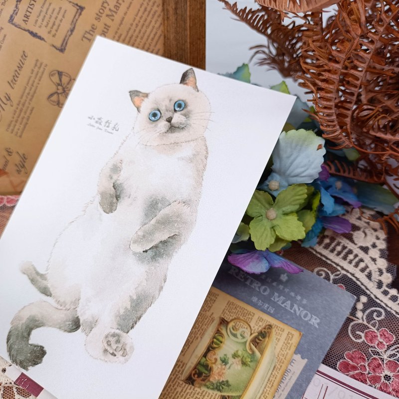 LS156_Cat Postcard_17/Postcard - การ์ด/โปสการ์ด - กระดาษ หลากหลายสี