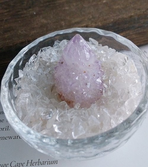 石話石說 Alice Jewelry Cactus Amethyst 南非產地 仙人掌紫水晶 天然礦石 原礦