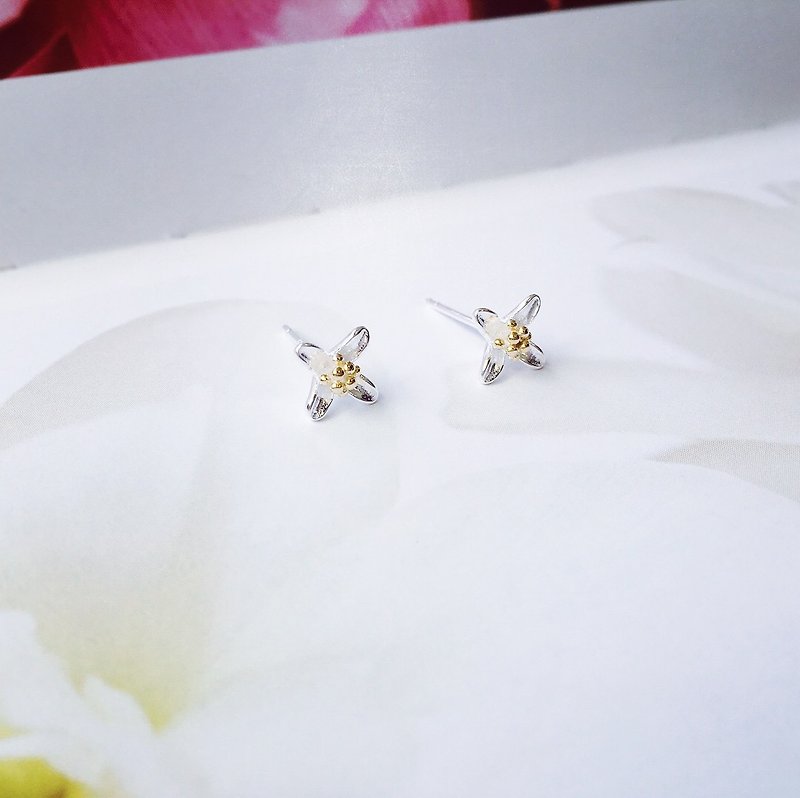 925 sterling silver two-color cute [flower series four-petal flower ear] - Earrings & Clip-ons - Sterling Silver Silver