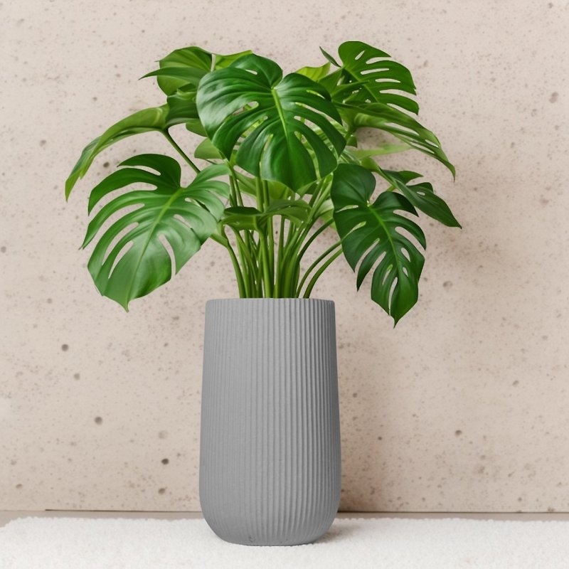 Turtle taro Cement potted plant large potted straight striped rock ash high pot floor-standing potted plant Nordic minimalist - ตกแต่งต้นไม้ - พืช/ดอกไม้ 