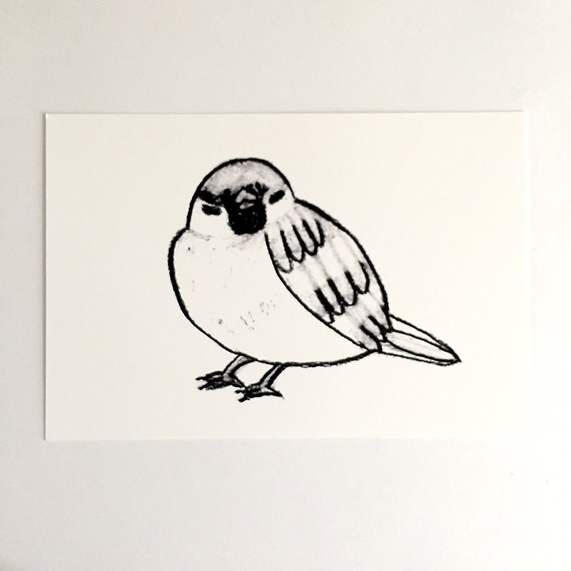Sparrow greeting card looking at me - การ์ด/โปสการ์ด - กระดาษ ขาว