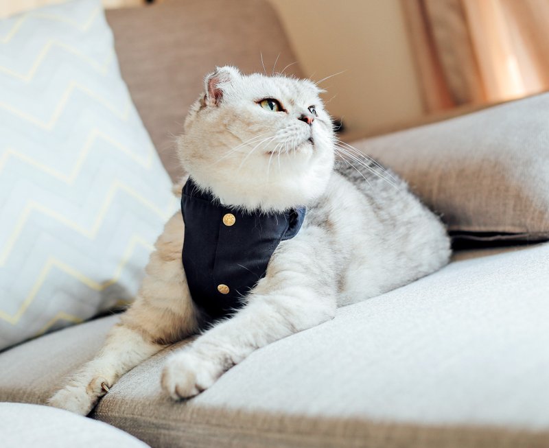 College uniform chest strap [for cats] pet chest and back - Clothing & Accessories - Other Materials 