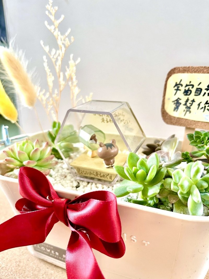 多肉組盆 多肉植物 日式枯山水 松鼠 鼠家長送禮 小鼠 植物盆栽 - 盆栽/植栽 - 植物．花 綠色