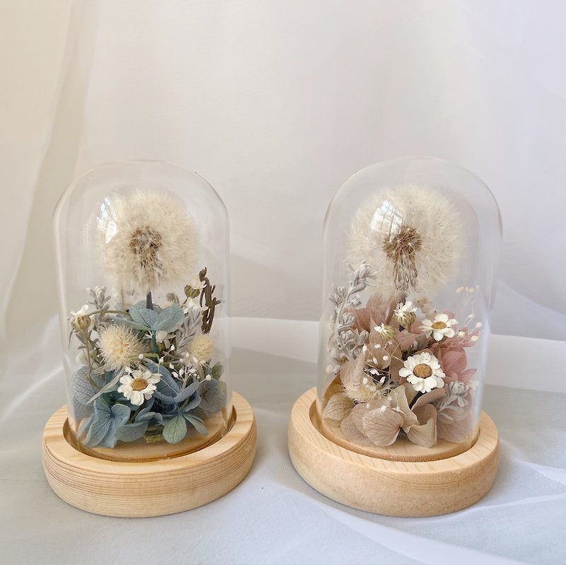 Carry wish/ glass cover multi-color optional/ dandelion glass cover dry flower preserved flower - Dried Flowers & Bouquets - Plants & Flowers Pink