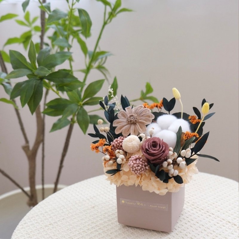 方型永生小盆花 焦糖 - 乾燥花/永生花 - 植物．花 卡其色