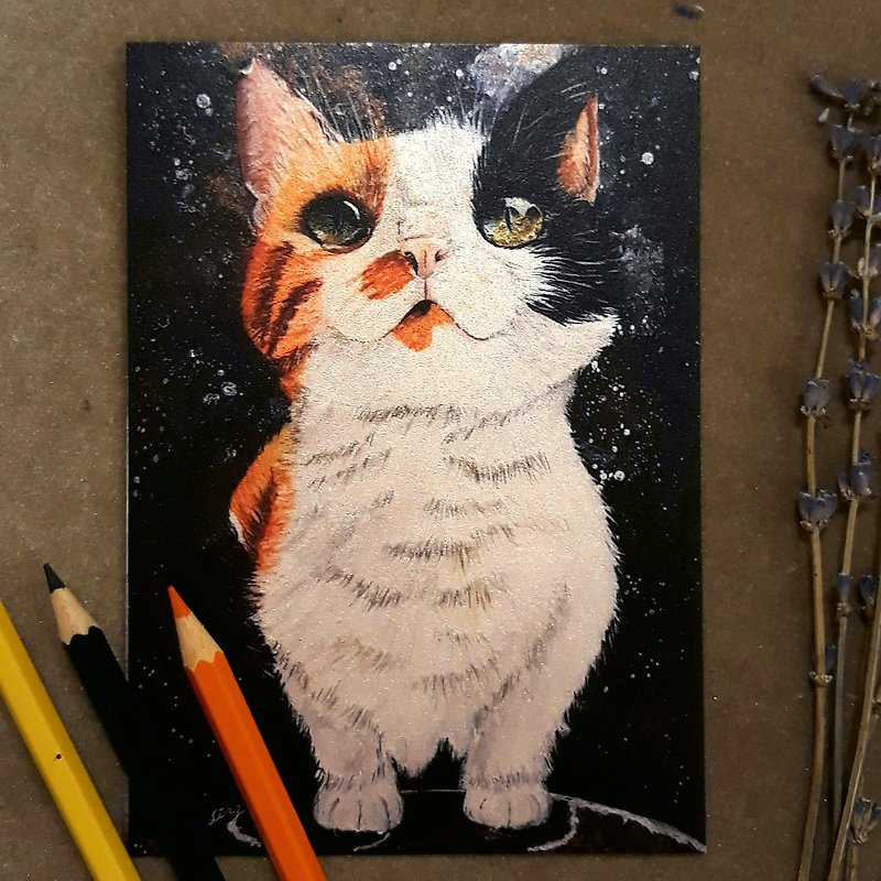 宇宙猫と星 ～プリンセスフラワー～ - カード・はがき - 紙 多色