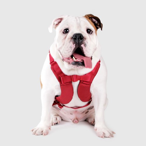 SPUTNIK 寵物設計 SPUTNIK 胸背帶 - 紅 (L)