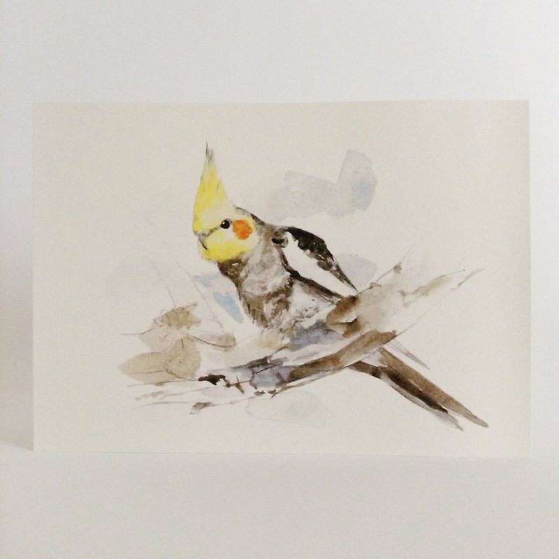 Bird ‧ postcard ‧0089 - การ์ด/โปสการ์ด - กระดาษ 