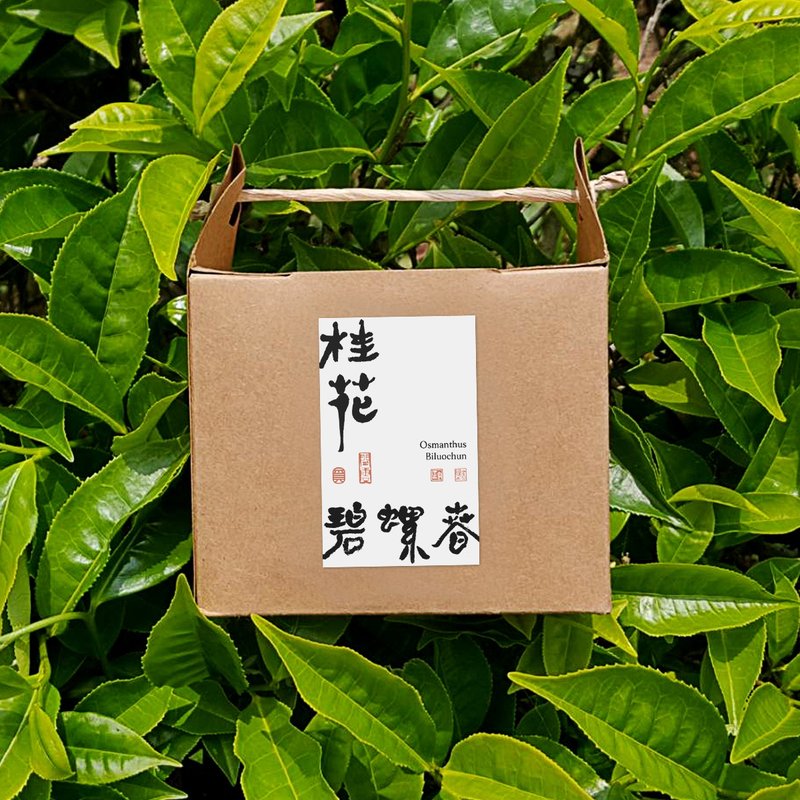 Osmanthus Biluochun, 10 Whole Leaf Pyramid Teabags - Tea - Fresh Ingredients 