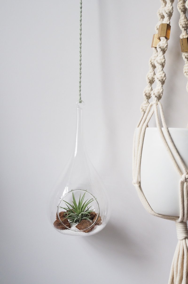 手織りエアーグラスガラス瓶配合ミントグリーン - 観葉植物 - ガラス グリーン