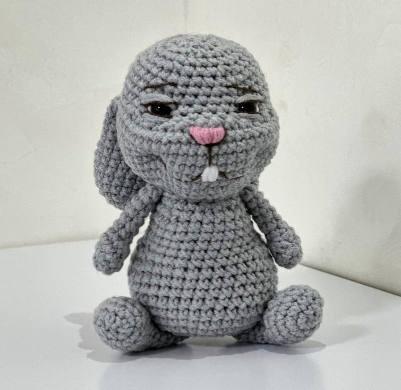 Crochet Rabbit Toy, Handmade Amigurumi Bunny, Soft Plush Gift, Cute Soft Toy Gif - 寶寶/兒童玩具/玩偶 - 其他材質 