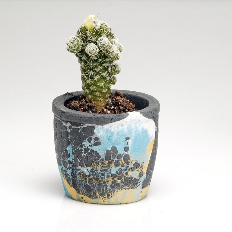 水泥盆器 - 盆栽/植栽 - 水泥 