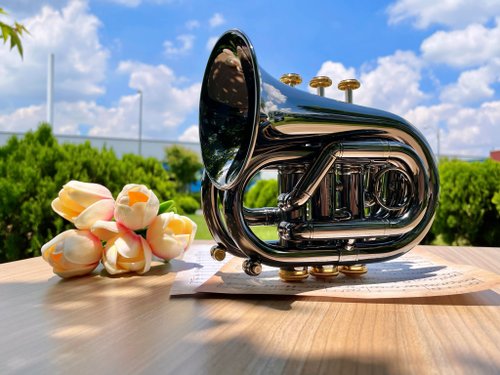 Carol Brass レザーバッグ　ミニトランペット専用 Amazon.co.jp: キャロル・ブラス Carol Brass ミニ・ポケット