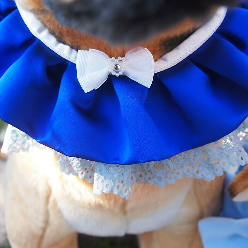 TOTOMOMO 婚禮寵物蕾絲領巾-藍色
