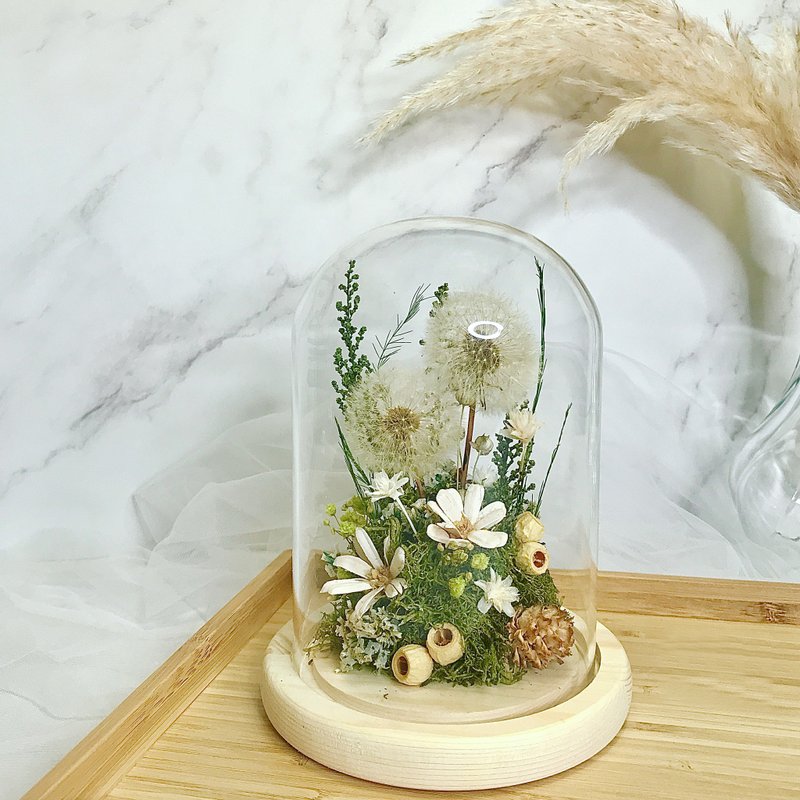 Dandelion immortal flower glass bell jar - ช่อดอกไม้แห้ง - พืช/ดอกไม้ 