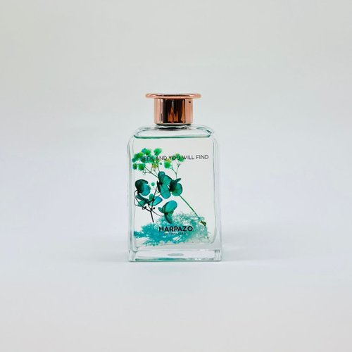 Harpazo Fragrance store 天然 王者歸來 藤枝家居香薰 木質室內無火香薰 擴香香氛