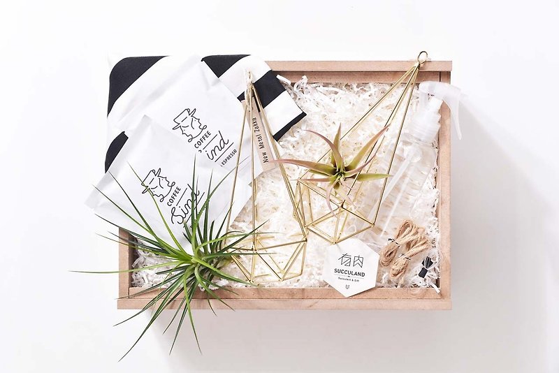 Giftbox | 空氣鳳梨禮物盒 | 情人節 生日 - 植栽/盆栽 - 紙 綠色