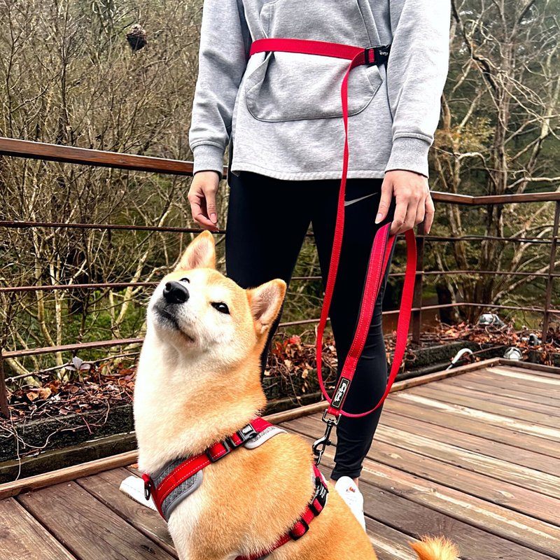 Woofy Woofy 多功能牽繩 210cm 跑步牽繩 燦爛紅 寵物牽繩 狗用 - 項圈/牽繩 - 聚酯纖維 紅色