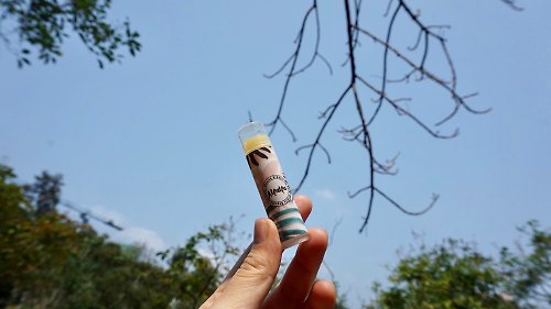 Alfalfa Organic 初苜 【蜂蜜修護潤唇膏】濕疹肌可用 | 註冊中醫師配方 | 天然草本