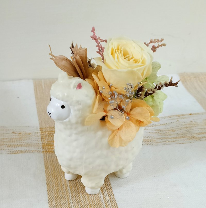 草泥馬吉開運盆花  馬年春節禮盒情人節花束生日開幕財運加馬禮物 - 乾燥花/永生花 - 植物．花 多色