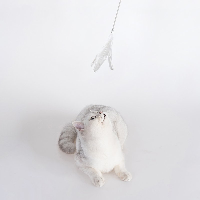 Pidan funny cat cat toy hand held soft rubber funny cat feather - white - Pet Bowls - Wood White