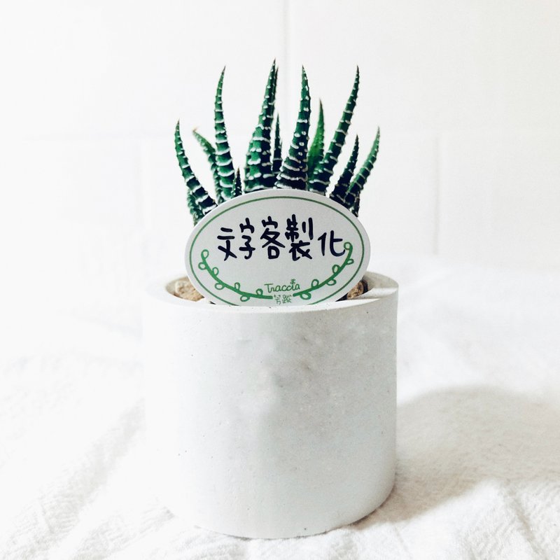 【客製化禮物】個性花插 - 盆栽/植栽 - 紙 白色