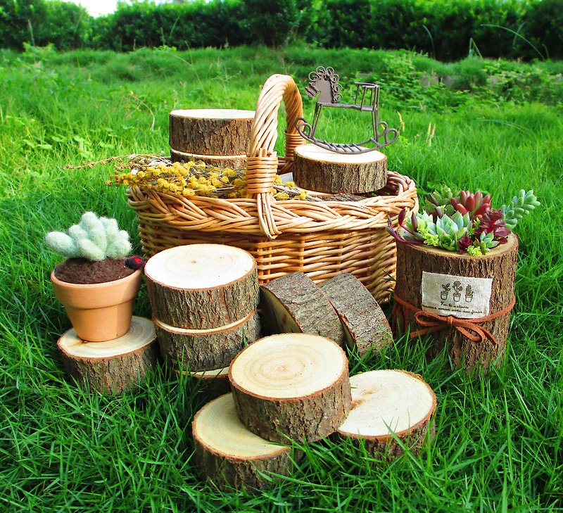 Natural fragrance-handmade camphor wood block (single block sale / circle diameter 4-4.5 cm) - ที่รองแก้ว - ไม้ 