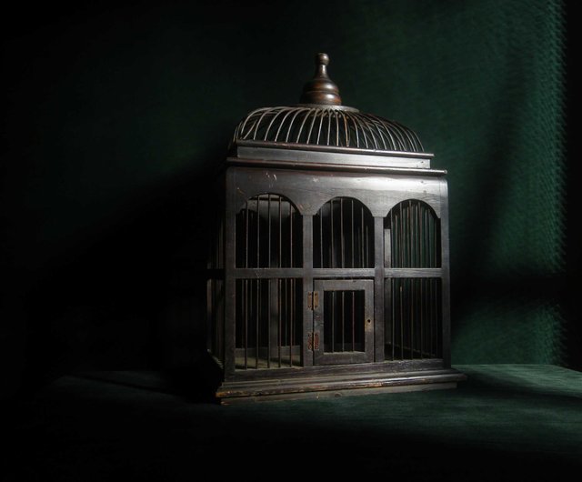 Bird cage hotsell second hand