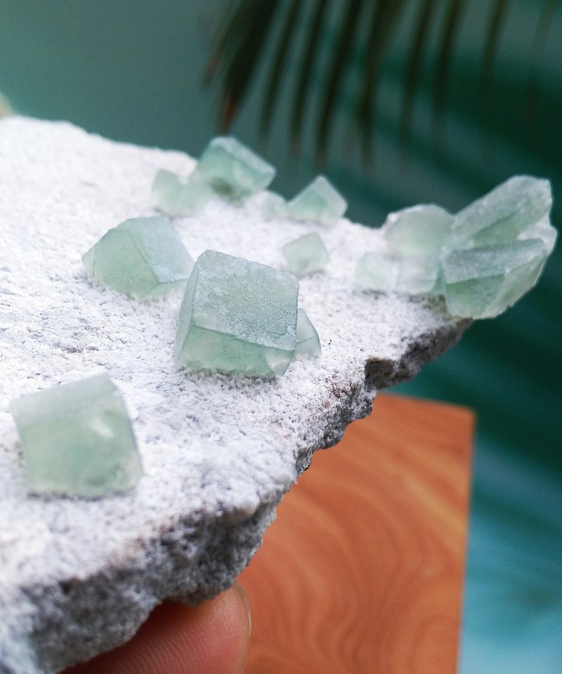 Fluorite 內蒙產地 莫蘭迪綠 綠螢石 天然礦石 原礦 - 擺飾/家飾品 - 其他材質 