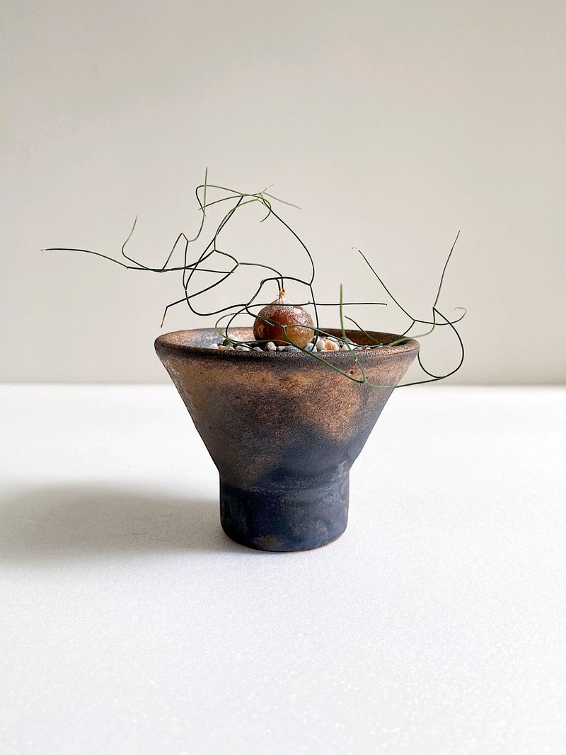 髮葉蒼角殿與黑金手作陶 - 植栽/盆栽 - 陶 金色