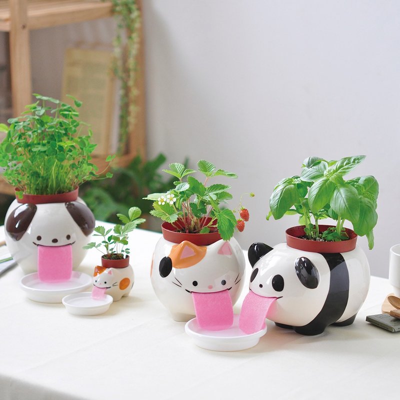 Peropon PAPA Hydroponic Planting Pot / Tongue Animal L (Dad Type) - ตกแต่งต้นไม้ - ดินเผา หลากหลายสี