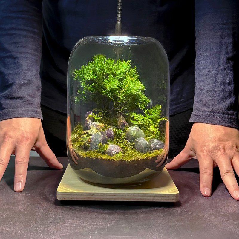 Opening potted plant - Big belly glass ore Feng Shui ecological tank - Colored ink landscape/Colored Stone series - ตกแต่งต้นไม้ - พืช/ดอกไม้ 