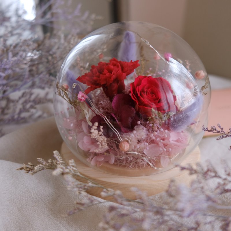 Glass Bell Jar/Red/Eternal Flower/Never Withered Flower/Dried Flower/Carnation/Mother's Day/Gift - ตกแต่งต้นไม้ - พืช/ดอกไม้ สีแดง