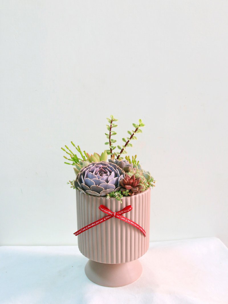 Elegant high-legged succulent combination potted plants/opening potted plants, upgraded potted plants, new home completion, Christmas gifts - ตกแต่งต้นไม้ - เครื่องลายคราม สีกากี